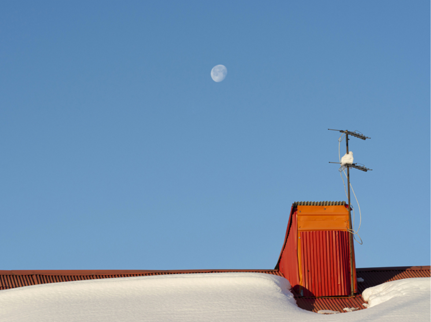Сексуальное насилие и угрозы убийства: застрявшие в Антарктиде ученые запуганы коллегой